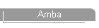 Amba